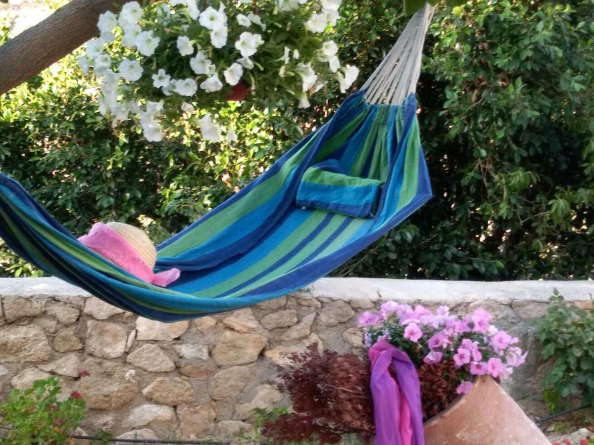 New Country House Salvia Sitia  Exterior photo