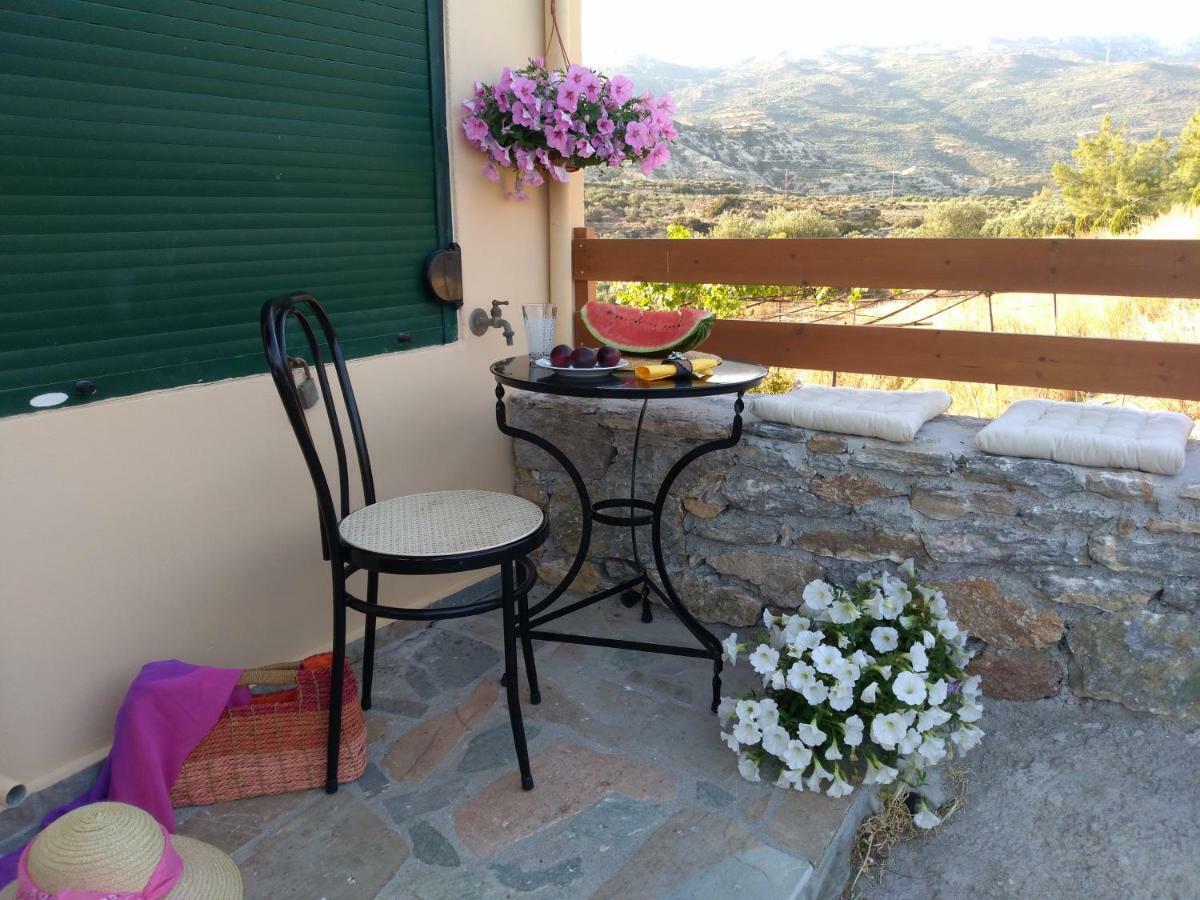 New Country House Salvia Sitia  Exterior photo